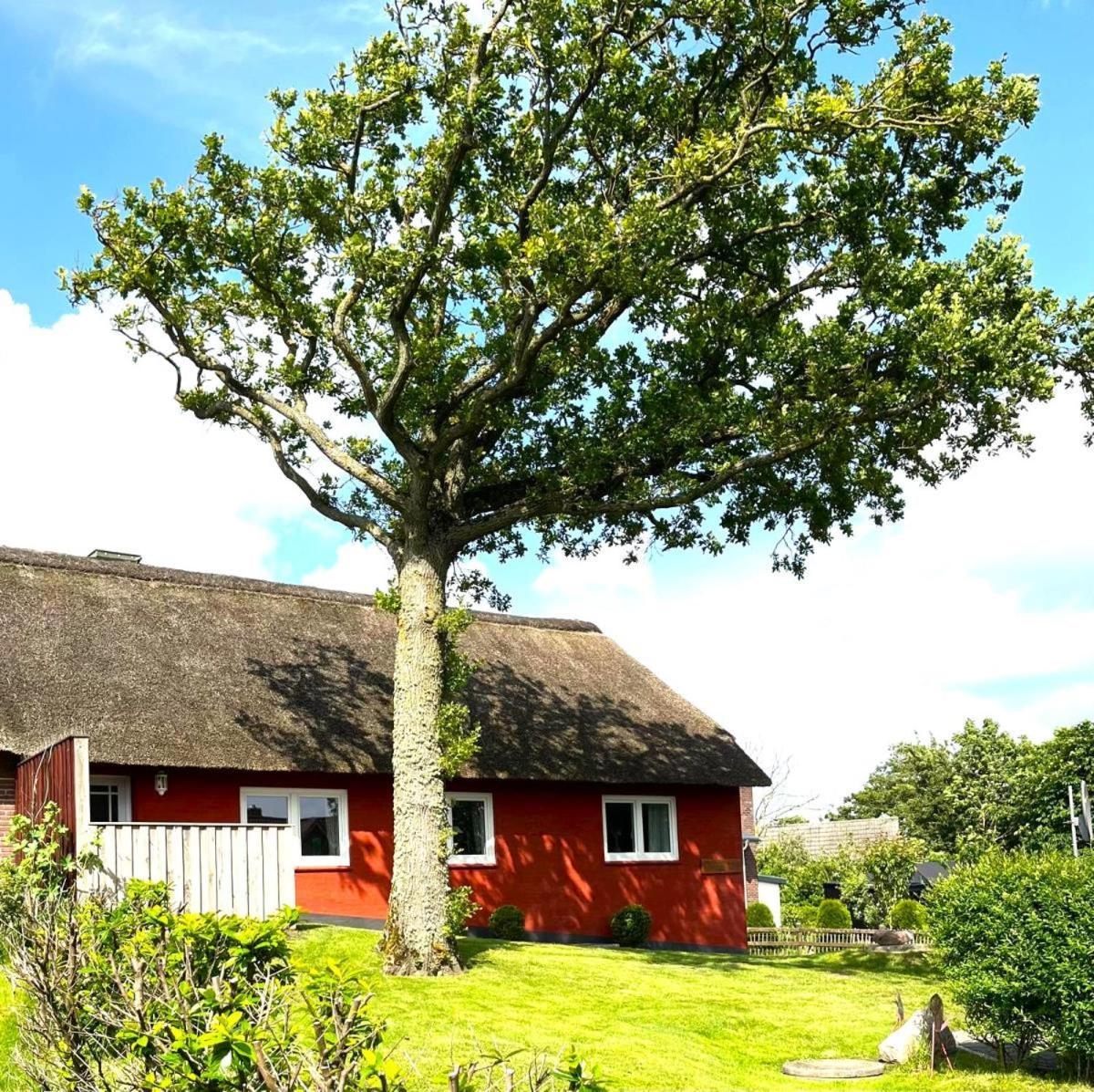 Haus Hanna Dagebuell Luaran gambar